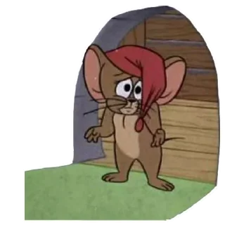 ✋️