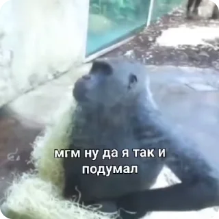 👌