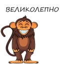 🐵