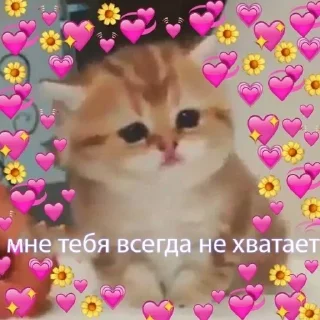 🥺