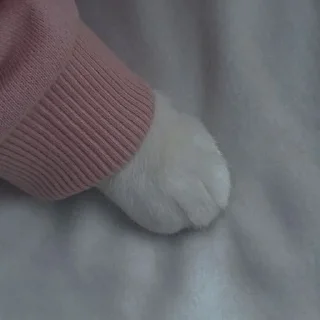 💗