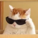 🐱
