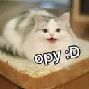 😂