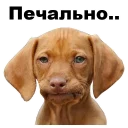 😪