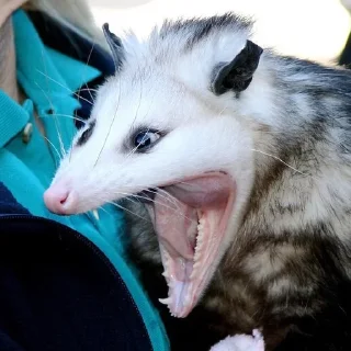 😦