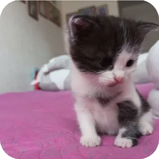 ❤