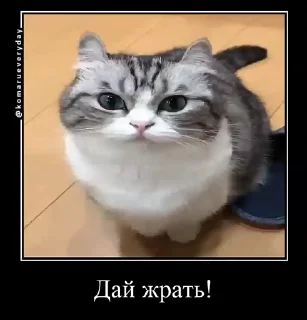 🤲