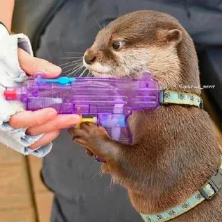 🔫