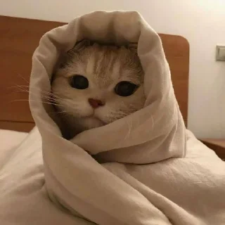 😊