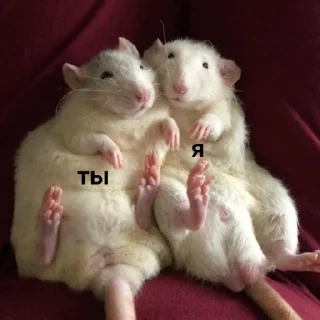 🤗