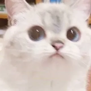 👀