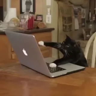 👌