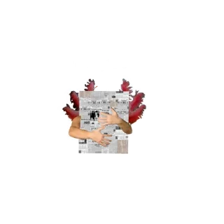 🗞️