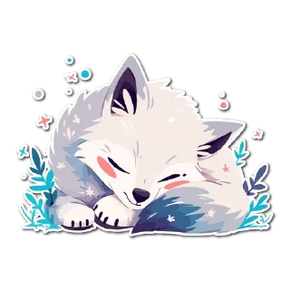 💤