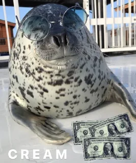 🤑