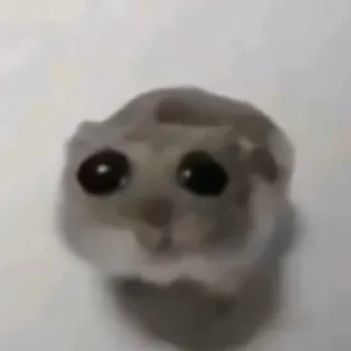 🥺
