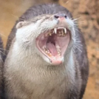 😝