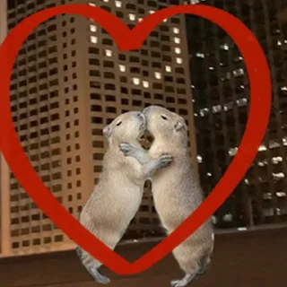 ❤️