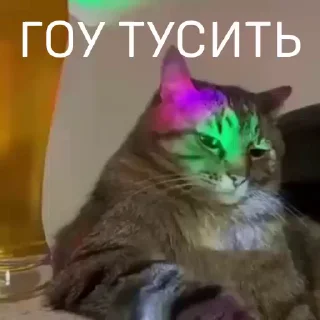 🥳