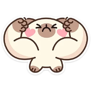 💪