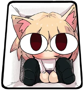 📦