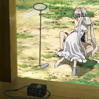 🌟
