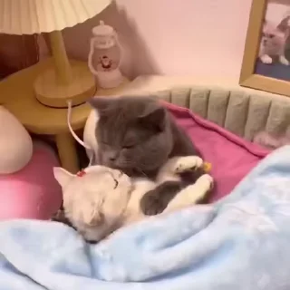 🧶