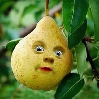 😮