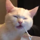 😎
