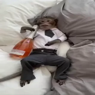 🍾