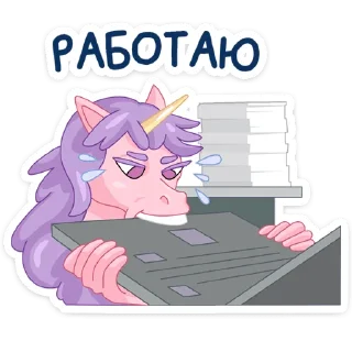 💻