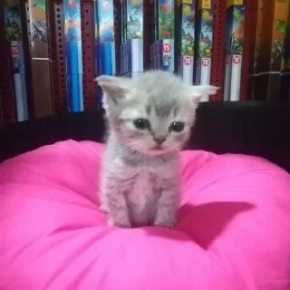 🤯