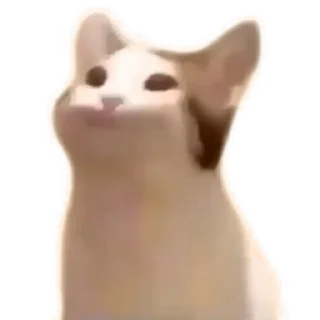 😋