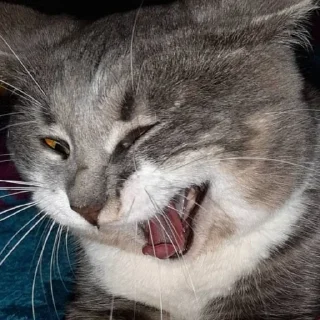 😚