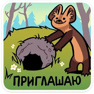 ⭐