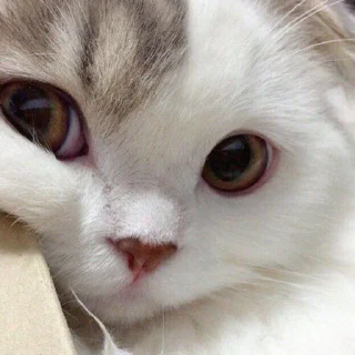 😍
