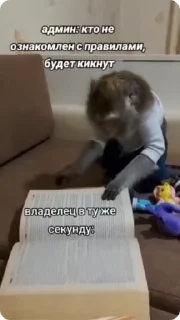 📕