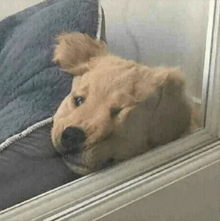 ☹️