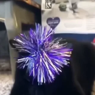 🤩