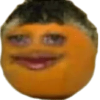 🍊