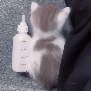 🍼