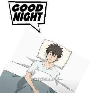 🛌
