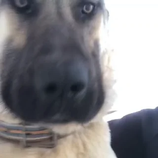 😦