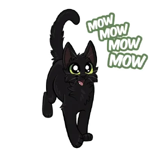 🐈‍⬛