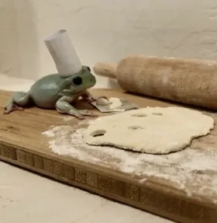 👩‍🍳
