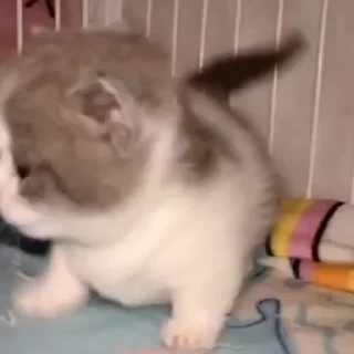 🥲