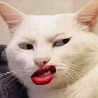 😒