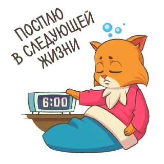 😴