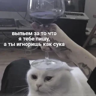 😭