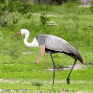 👋
